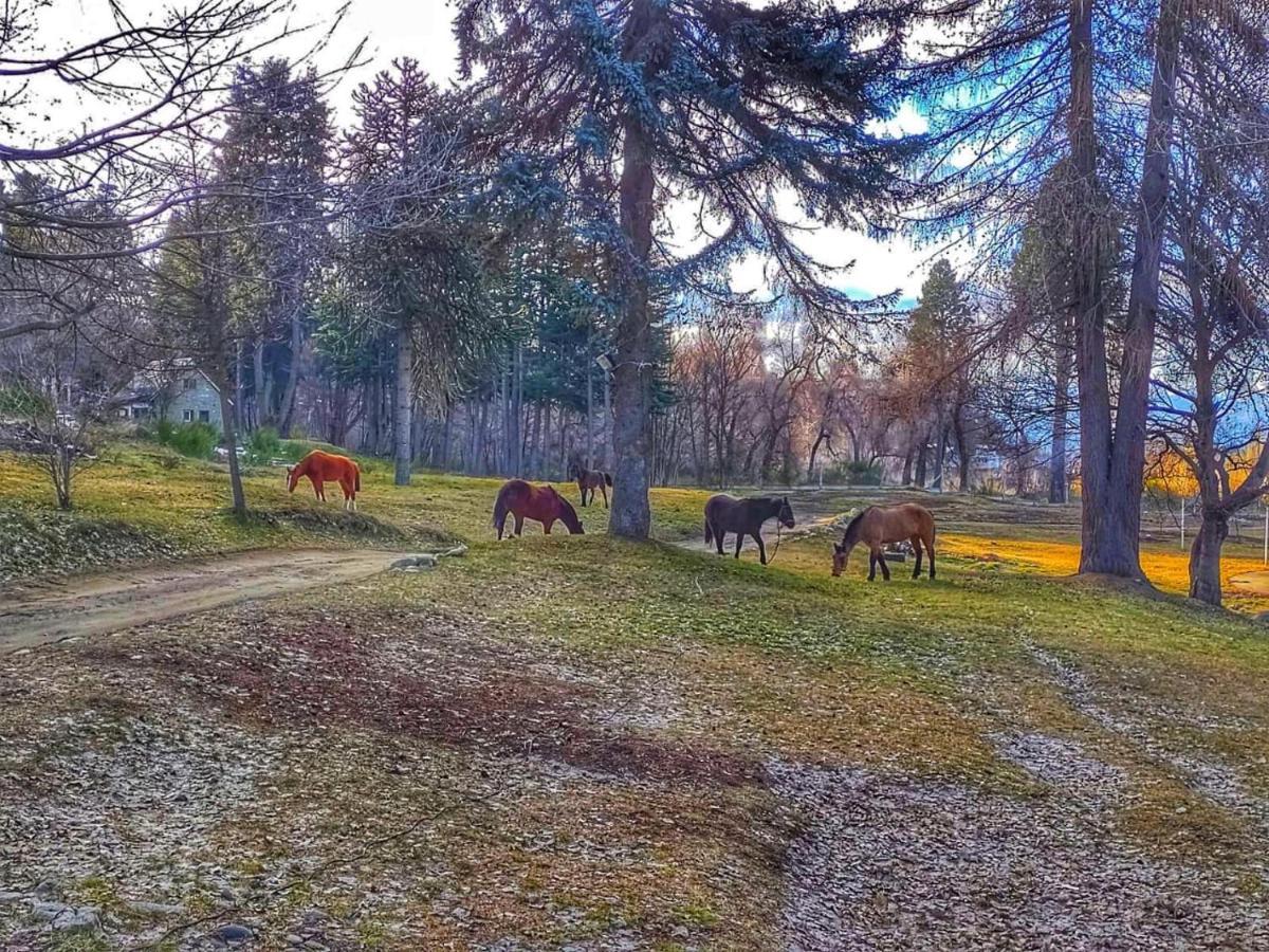 Posada Del Nireco San Carlos de Bariloche Luaran gambar