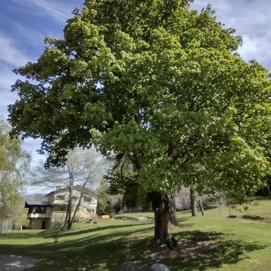 Posada Del Nireco San Carlos de Bariloche Luaran gambar