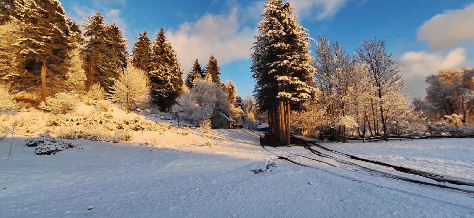Posada Del Nireco San Carlos de Bariloche Luaran gambar
